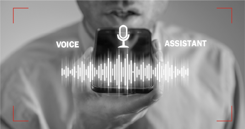 IVR Scripts